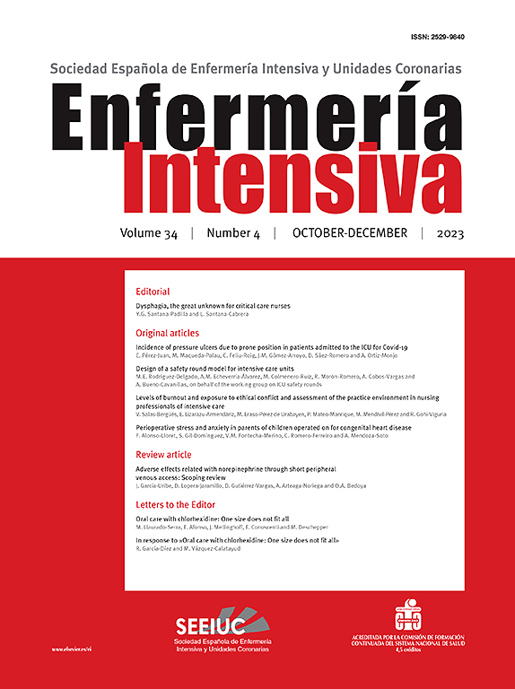 Go to journal home page - Enfermería Intensiva (English ed.)